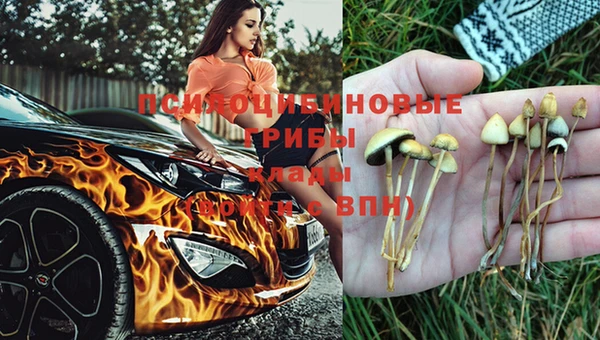 ECSTASY Волоколамск